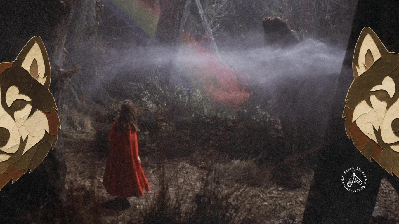 No momento, você está visualizando Território selvagem: a crítica feminista além do cânone