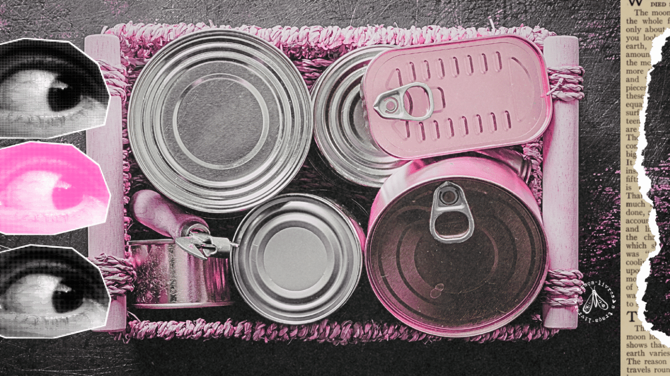 Latas de alimentos ultraprocessados representando a carnemais do livro Gosma Rosa, de Fernanda Trías.