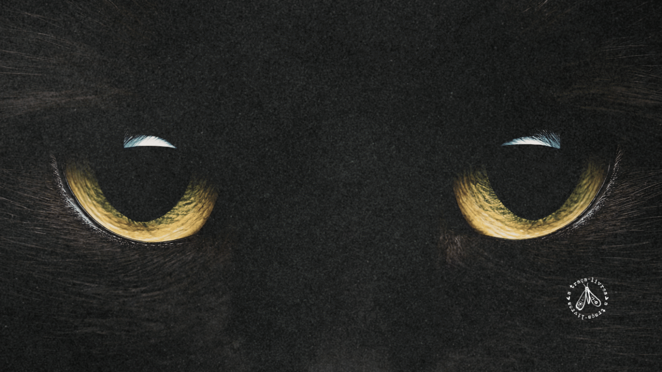 Imagem de um olhar penetrante de uma gata preta, tal qual a capa de A gata viu a morte, de Dolores Hitchens.