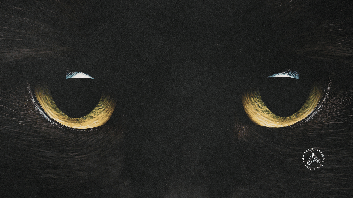 No momento, você está visualizando A gata viu a morte: o cozy mystery de Dolores Hitchens